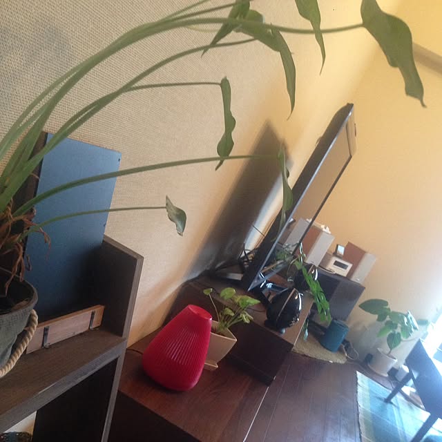 Cozy-m-Roomさんの実例写真