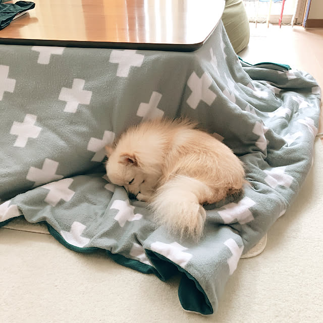 akkoさんの実例写真