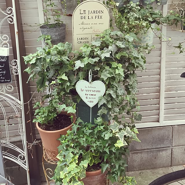 greenroseさんの実例写真