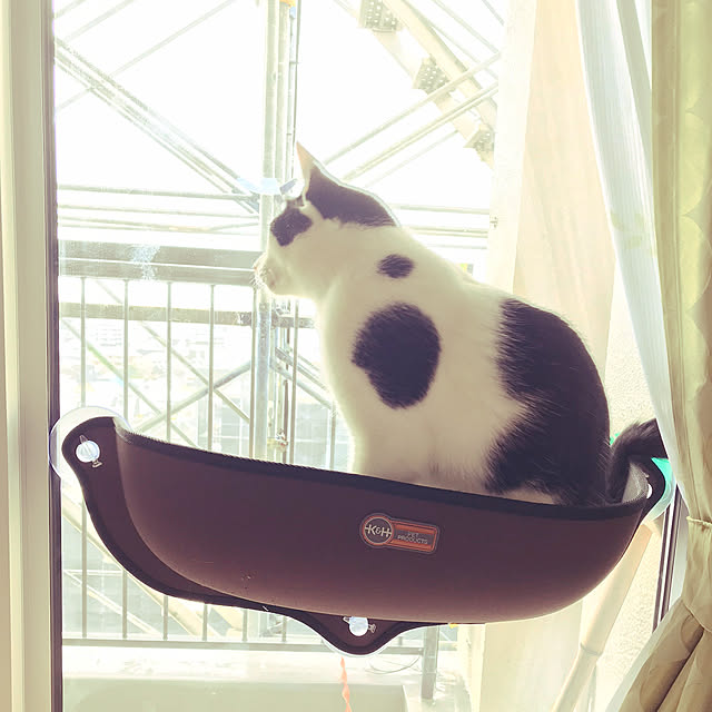 KAZUさんの実例写真