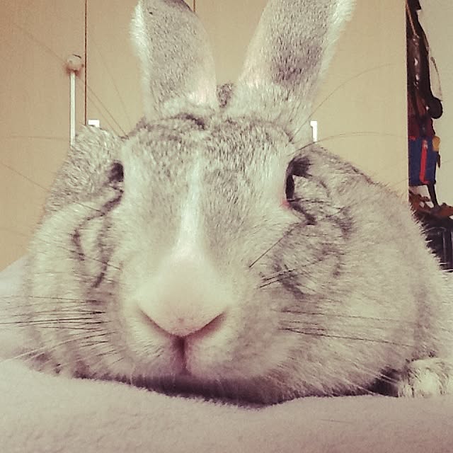 MARIさんの実例写真