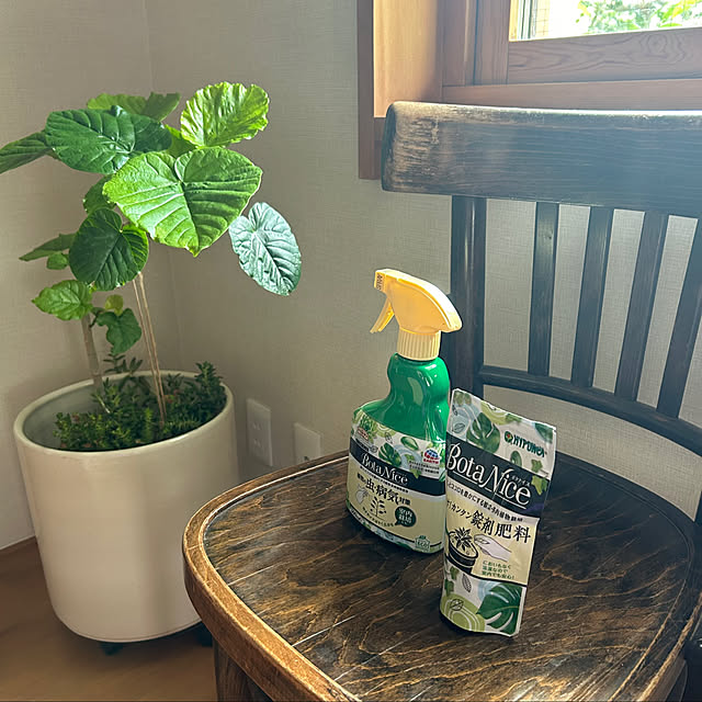 botanさんの実例写真
