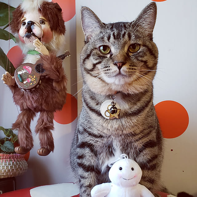 ayucchiさんの実例写真