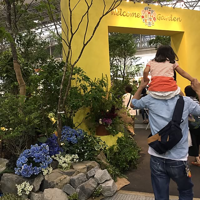 実例写真