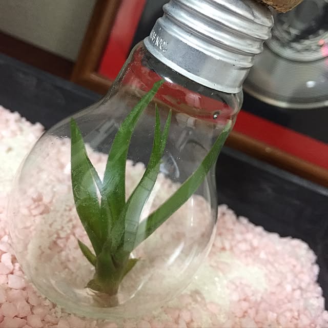 masaoさんの実例写真