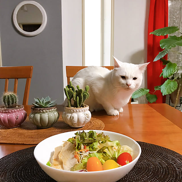 nyanko-beamさんの実例写真