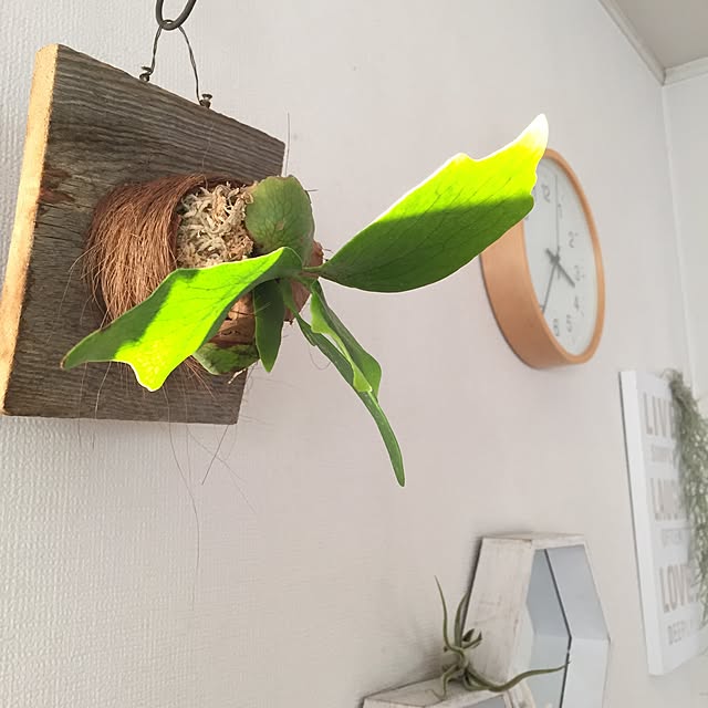 kaoru.m11さんの実例写真