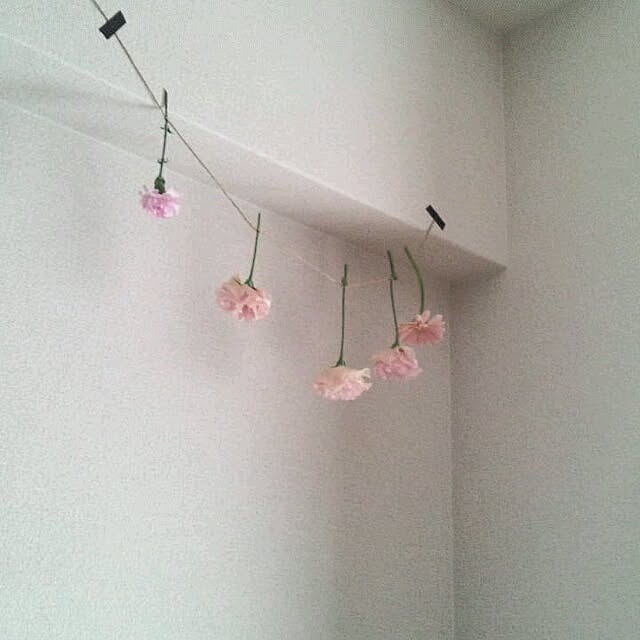 choco92さんの実例写真