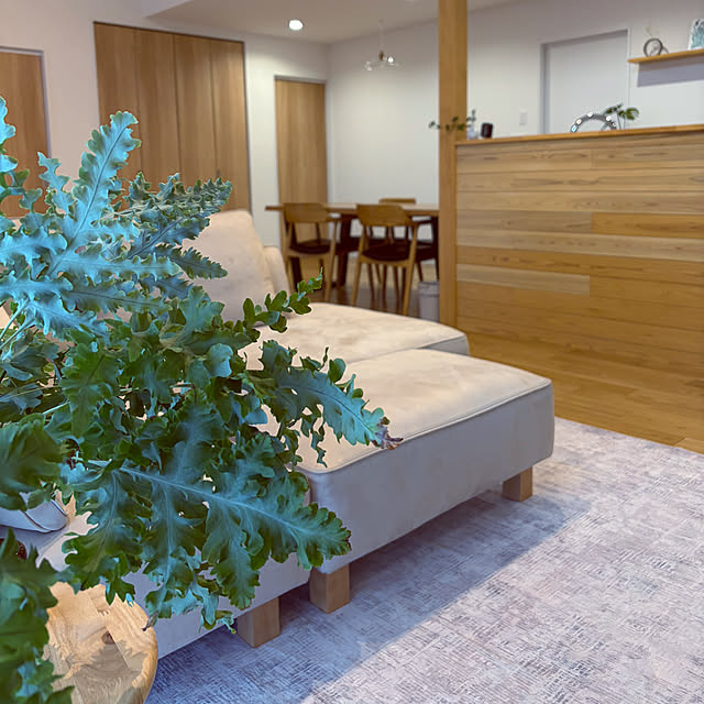 tokimaさんの部屋