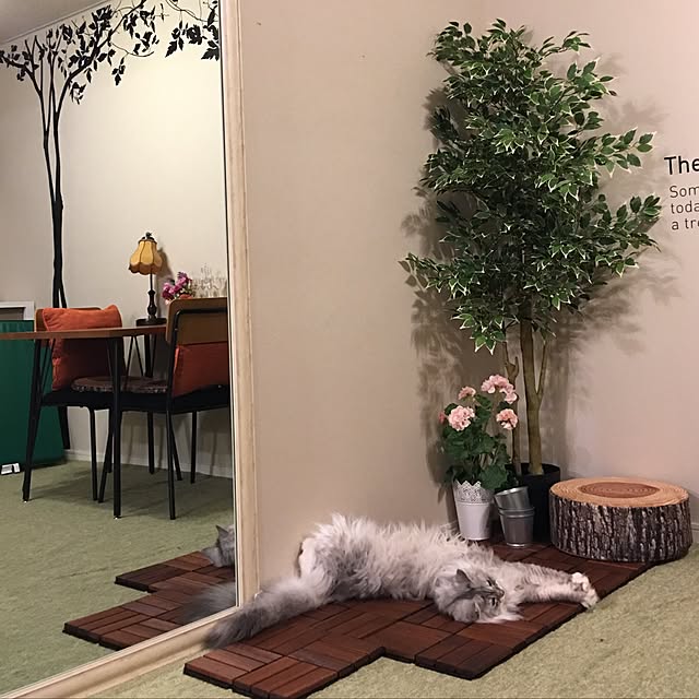 Chitoseさんの実例写真