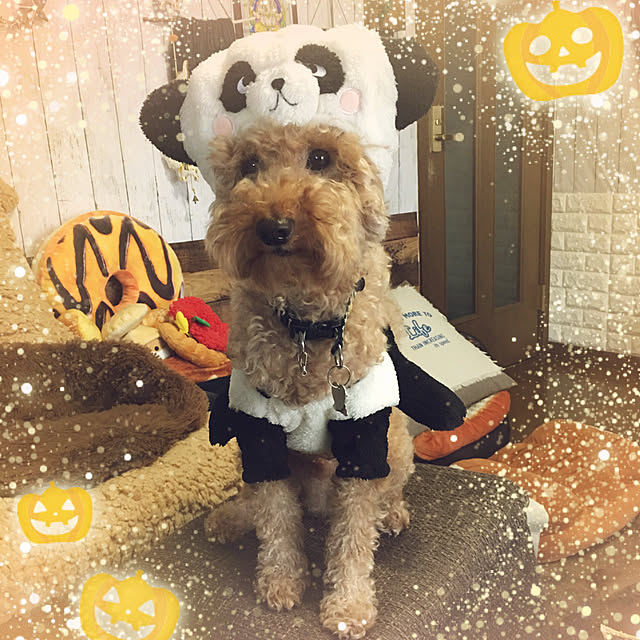 ronmaruさんの実例写真