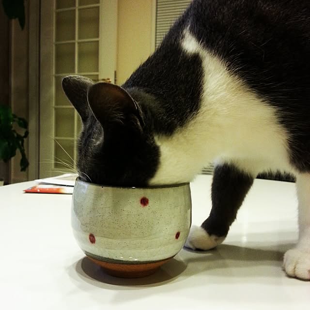 tomoppさんの実例写真