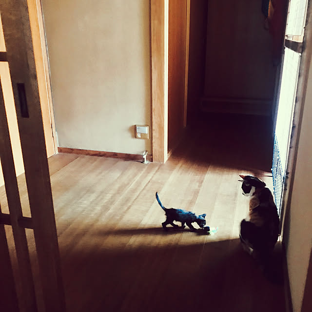 maroさんの実例写真