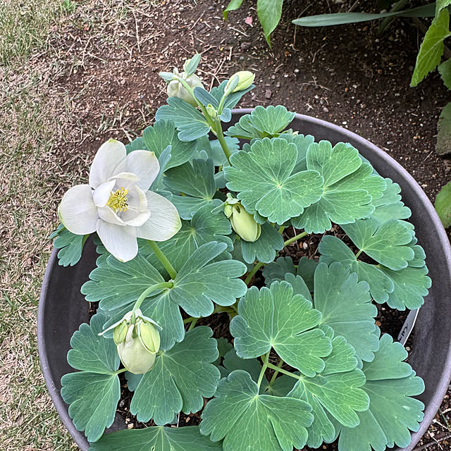 mamizaさんの部屋