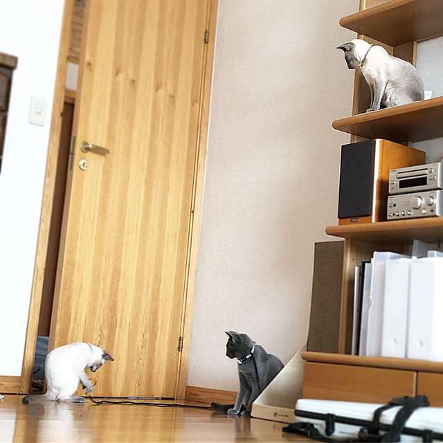 mujinekoさんの実例写真