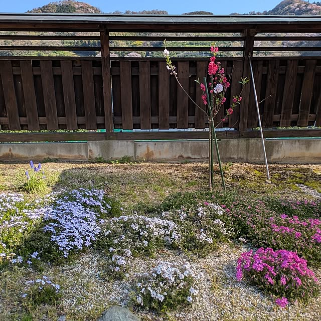 kuririnmamaさんの実例写真