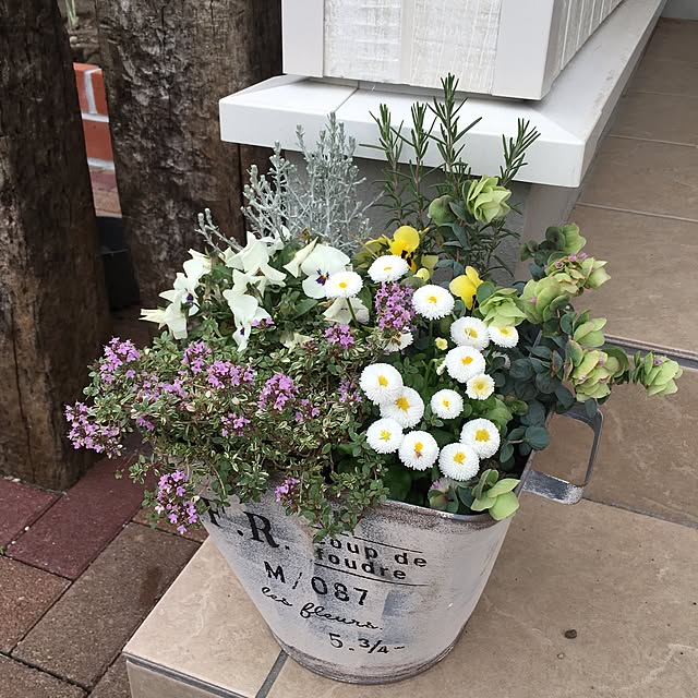 muuさんの実例写真