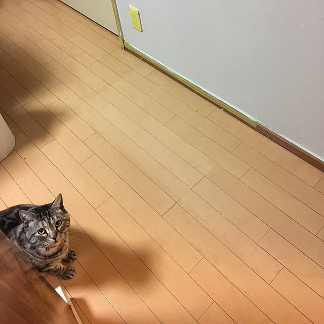 haruさんの実例写真