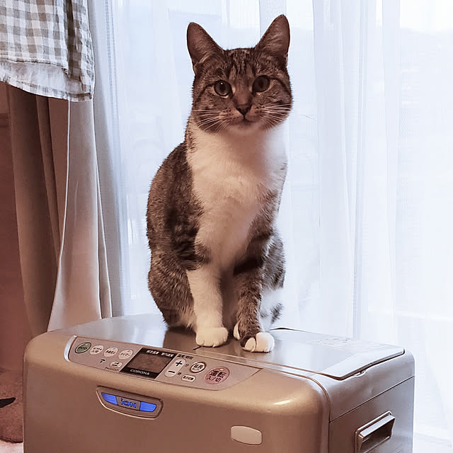Ai_Mさんの実例写真