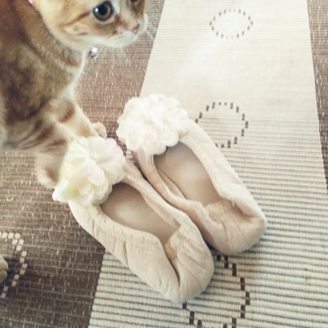 fruityanさんの実例写真
