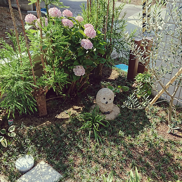 maさんの実例写真