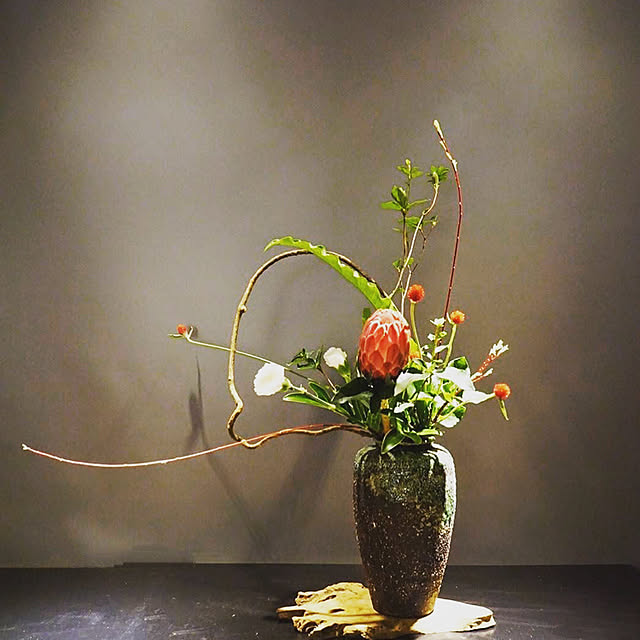 植物/DIY/手作り/玄関/入り口のインテリア実例 - 2020-06-08 23:50:46