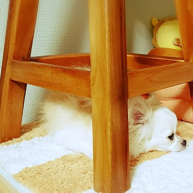 yukaさんの実例写真