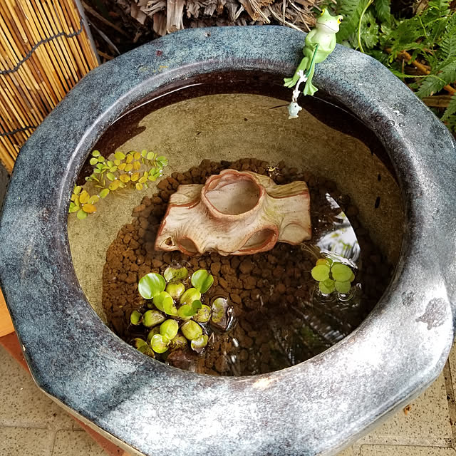 midoriさんの実例写真