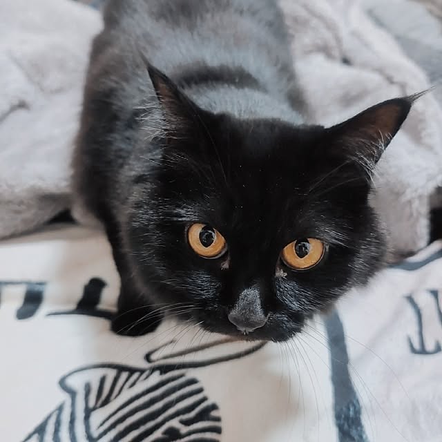 Umaさんの実例写真