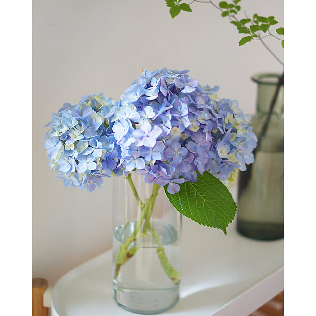 noriflowerさんの部屋