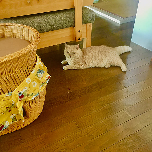 naokoさんの実例写真