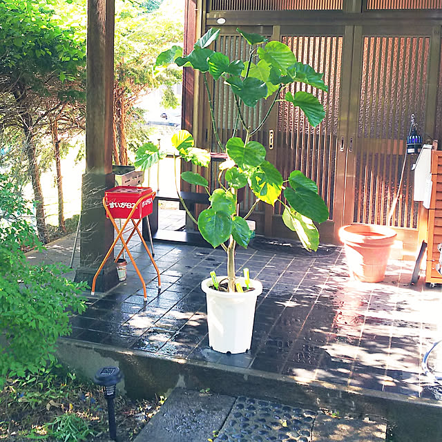cherrycherryさんの実例写真