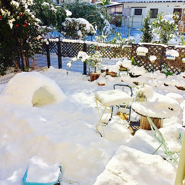snowbellさんの実例写真