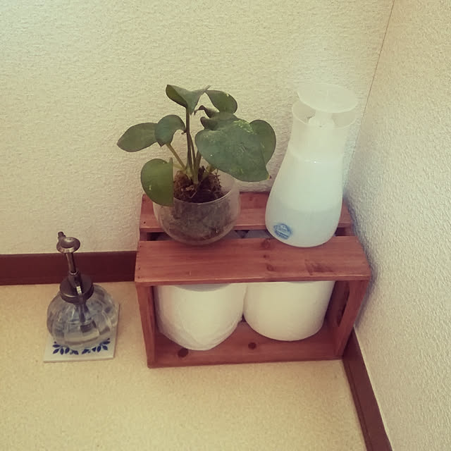 akiさんの実例写真