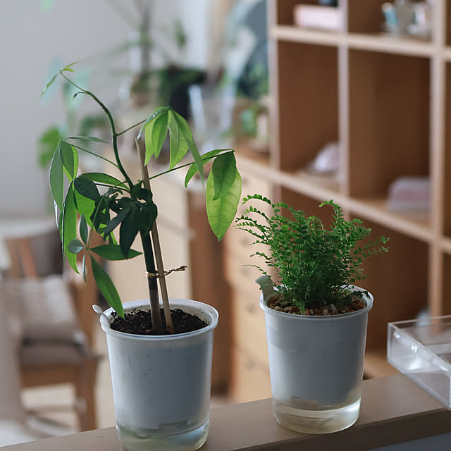 Summerさんの部屋