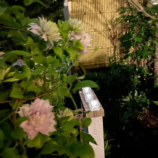 mamizaさんの部屋