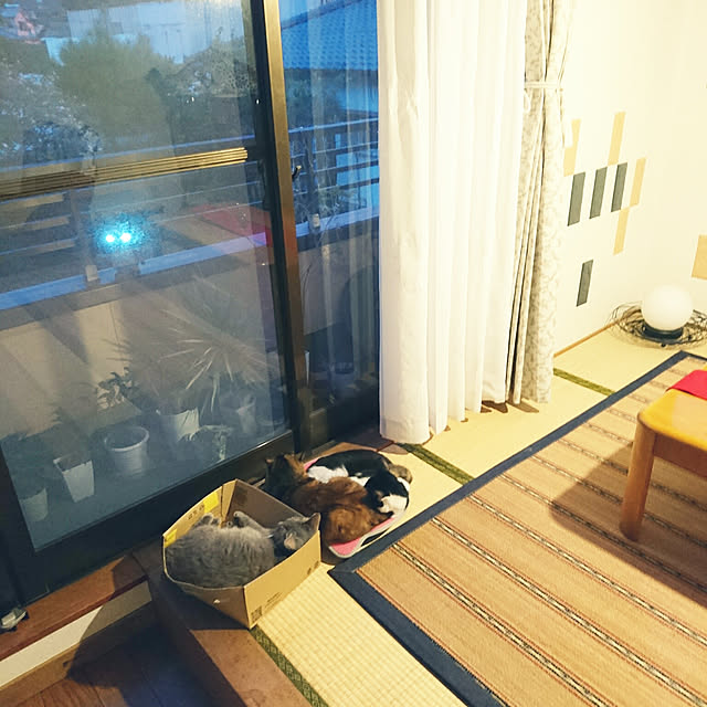 uchizukonyanさんの実例写真