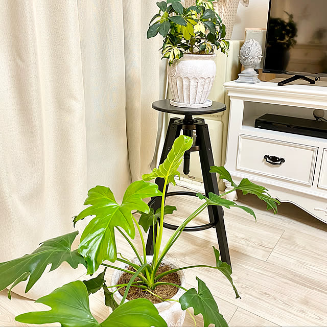 Uraraさんの実例写真