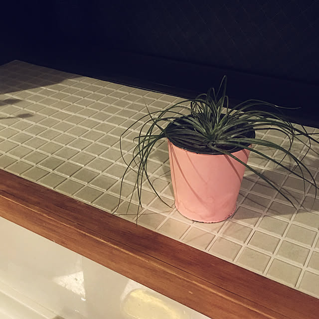 s17625さんの実例写真