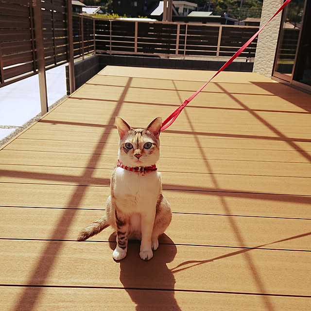 kohakuさんの実例写真