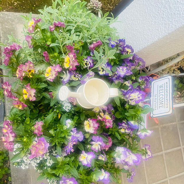 soyominさんの部屋