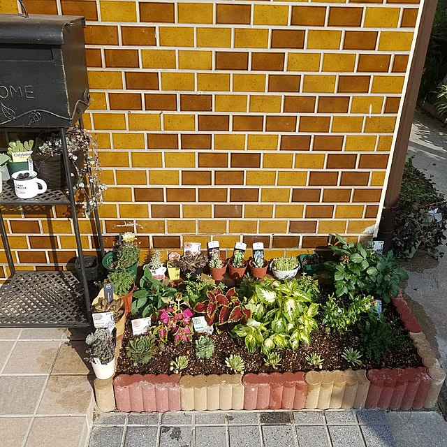 Yoshieさんの実例写真