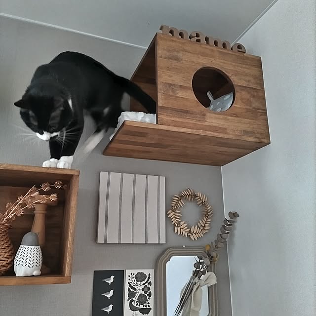 Yumikoさんの部屋