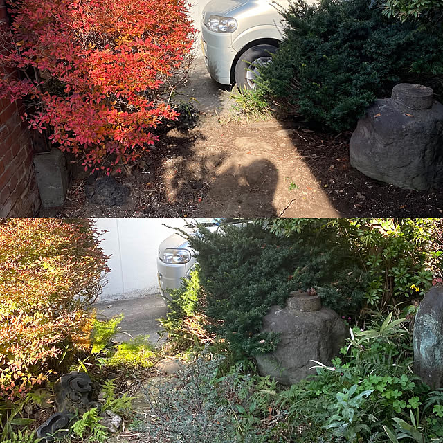 mさんの実例写真
