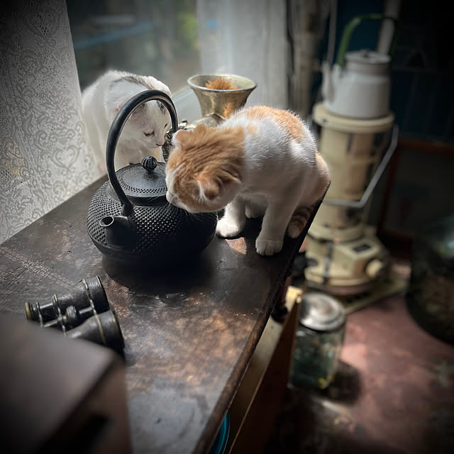 marusanさんの実例写真