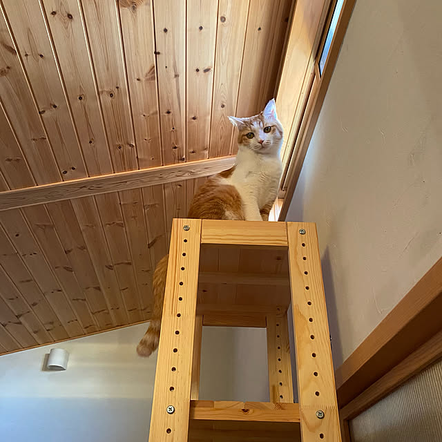 senbei.sakuramochiさんの実例写真