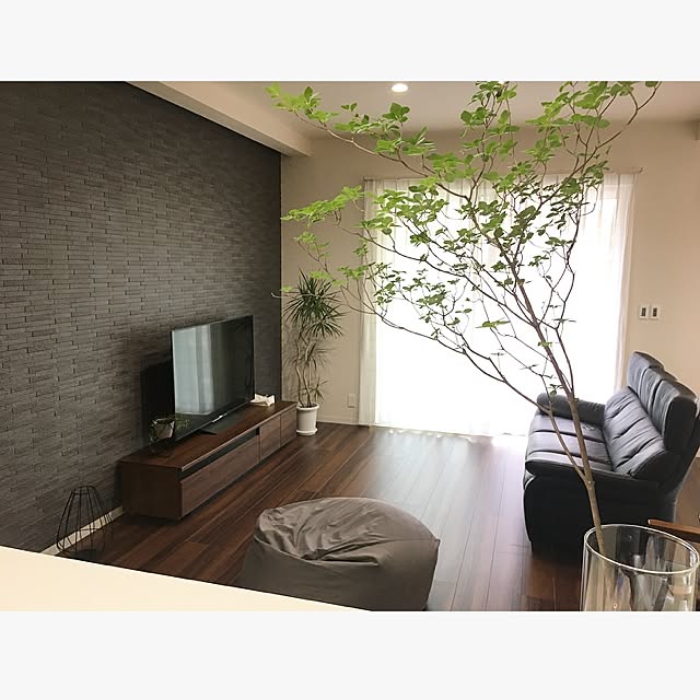 Iku.8Kさんの実例写真