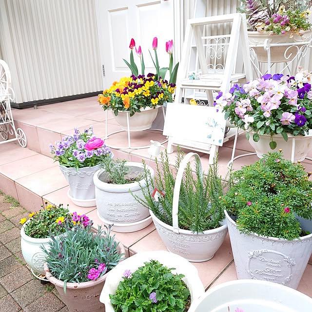 fleur-mamanさんの部屋