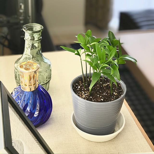 sm_rin5oさんの実例写真