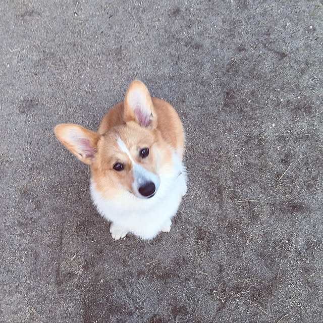 Kanamaruさんの実例写真